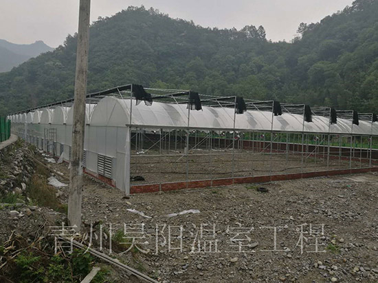 陜西略陽蕙蘭養殖溫室